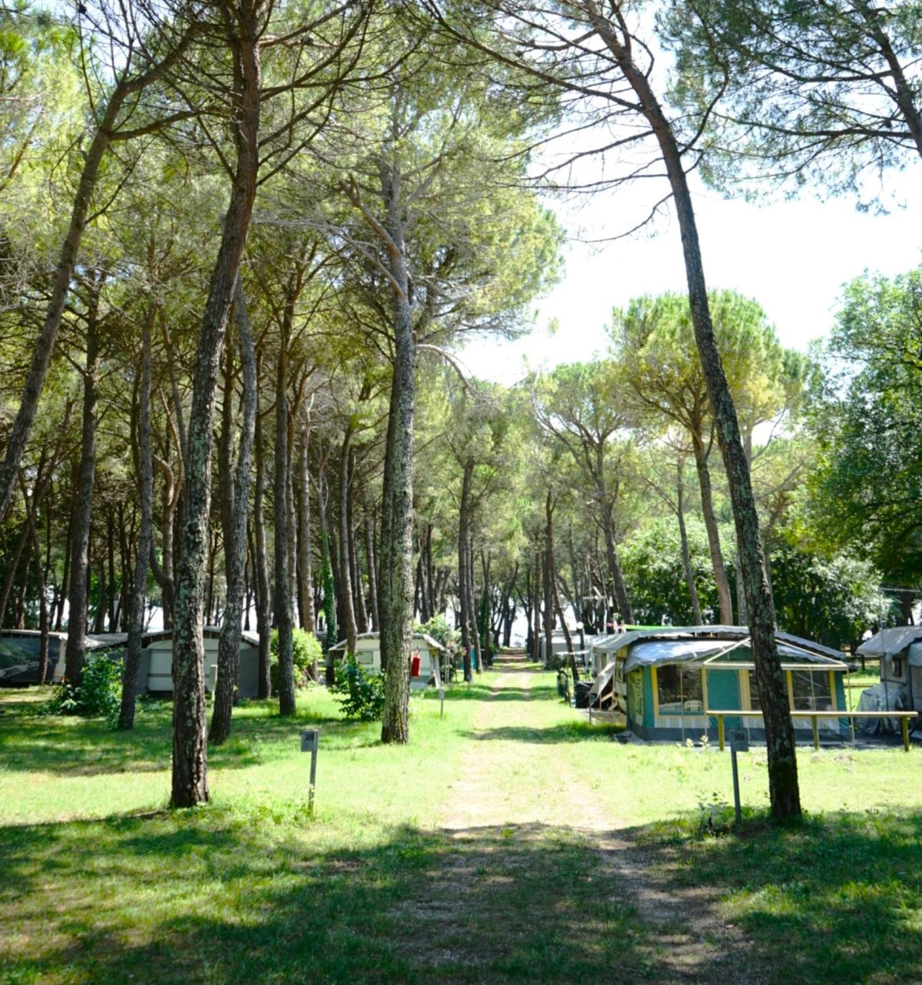 Belvedere Pineta Camping Village Grado Exterior foto